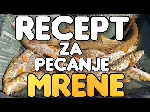 RECEPT ZA FANTASTIČNO PECANJE MRENE - je li to mamac?!