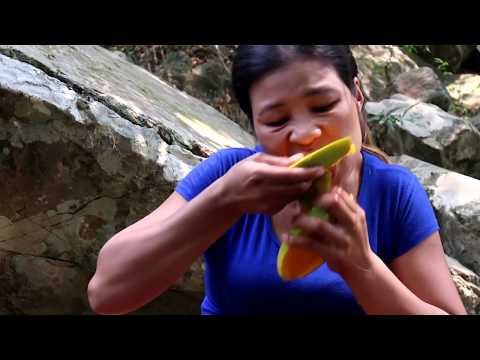 Find & Meet Mango in the forest Nature For eating -  Mango in the forest  eating delicious #34 Video