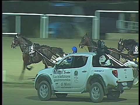 Trotto 01/12/2017 - 6ª corsa