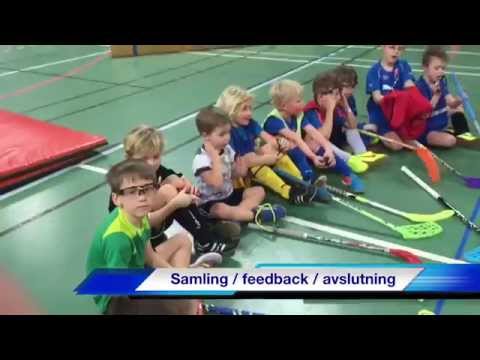 Å/K IBS Innebandyskola