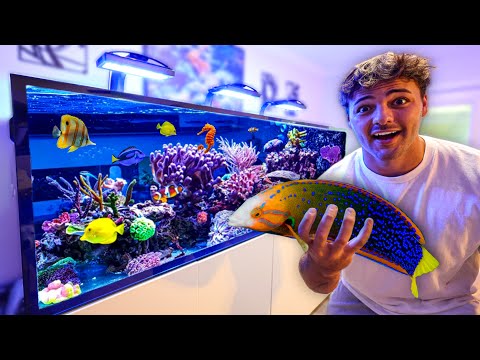 Finally BUYING FISH for My 300G SALTWATER AQUARIUM!!