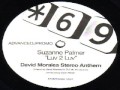 Suzanne Palmer ‎-- Luv 2 Luv  (David Morales Stereo Anthem)