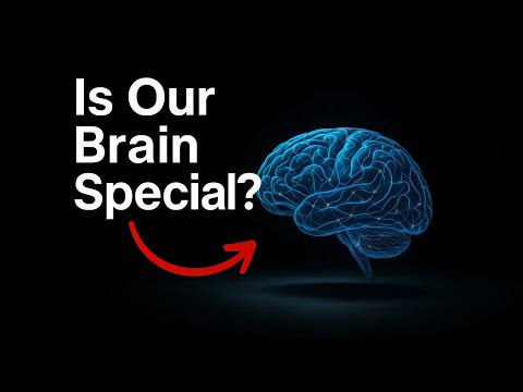 Is The Human Brain Really That Special?