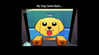 My Dog Came Back... - ANIMAL HOSPITAL | ROBLOX ANIMATION
