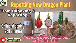 New Dragon fruit plant || Online shopping || Dragon प्लांट कैसे लगाएं