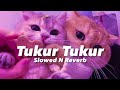 Tukur Tukur (Slowed Reverb) Lo-Fi | Reverbation | Loffisoftic