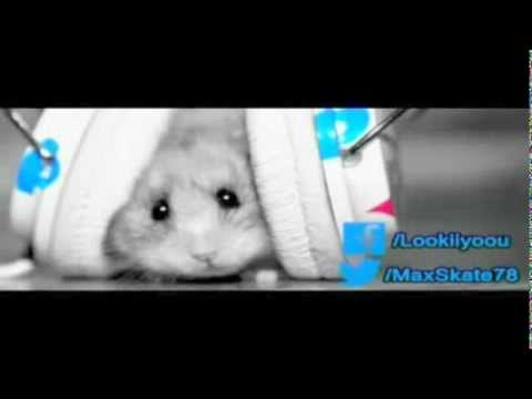 Sonido De La Costa, El Alto Tun, Cumbia Para Vos, Los Poderosos - Explota El Estadio  Dj Maxi 2013