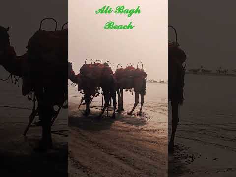 Ali Bagh Beach🏖️🏖️#cutebeby #krishika #viralvideo #shortfeed