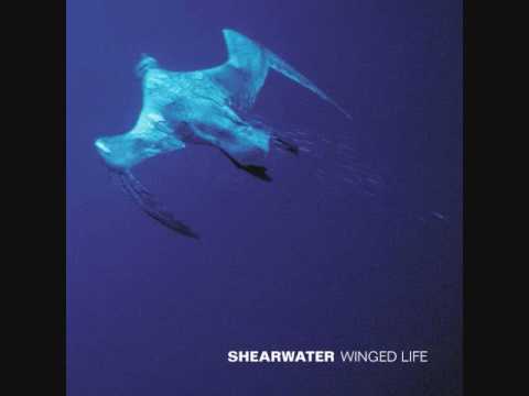 Ive Got A Right To Cry - Shearwater
