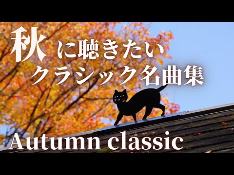 【名曲クラシック】秋に聴きたい名曲クラシック集 Autumn classic BGM 作業用BGM サティ、ショパン、ムソルグスキー 、ベートーヴェン他