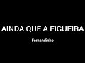 AINDA QUE A FIGUEIRA FERNANDINHO LETRA
