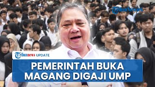 Beri Gaji Sesuai UMP, Pemerintah Buka Program Magang Nasional untuk 20 Ribu Fresh Graduate