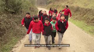 Rol del educador/a tradicional, Escuela Didaico