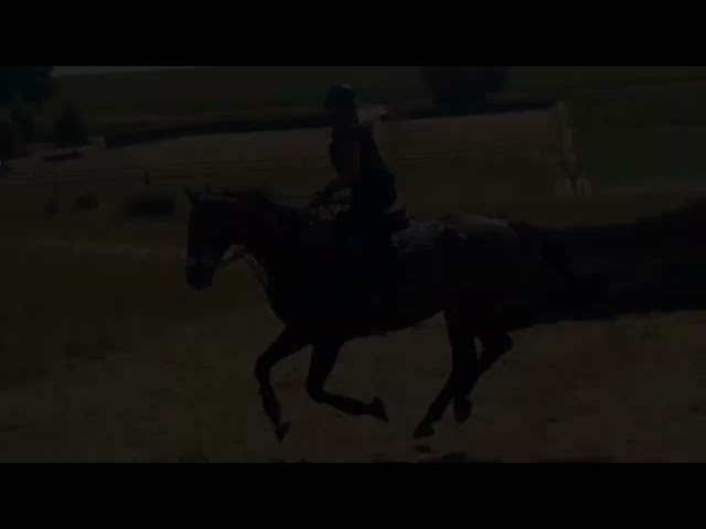 Super hongre amateur id&eacute;al cce