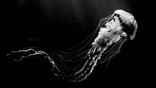 Darkside (Nicolas Jaar &amp; Dave Harrington) - A1 (Foxall Remix)