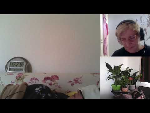 HIPN REGRESIVA 548 LUISA , AUTOVINDECARE C SI A MORARU