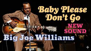 Baby Please Don't Go - Big Joe Williams (Delta Blues Cover) | Blues Alchemy