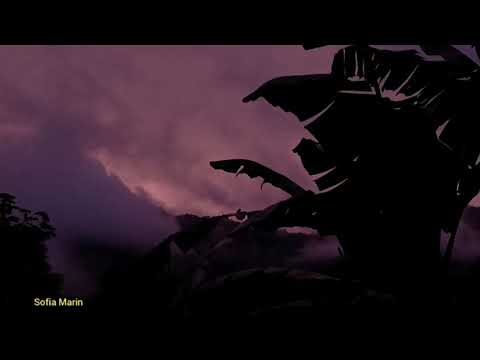 Atardecer 📍Ricaurte Nariño