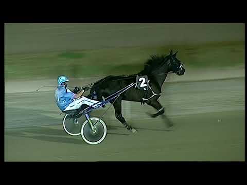 Napoli Trotto 26/06/2021 - 4ª prova di qualifica