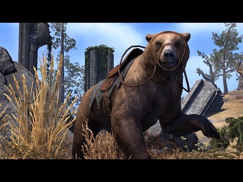 Welcome to Orsinium!