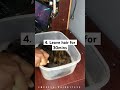 How to use silicon hair mix for wig #wigtutorial #wigrevamp #highlightshaircolour