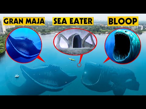 DRONE catches SEA EATER VS BLOOP VS EL GRAN MAJA in REAL LIFE!! (BATTLE OF COLOSOS)