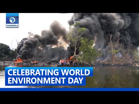 Celebrating World Environment Day | Earth File | 09/06/2021