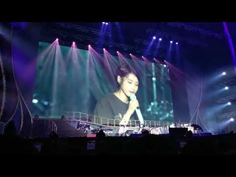 181117 아이유(IU) - dlwlrma 서울 콘서트 앵앵콜 - 비밀의 화원(Secret Garden)   폰캠