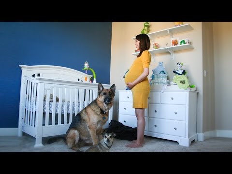 Youtube Video Preview