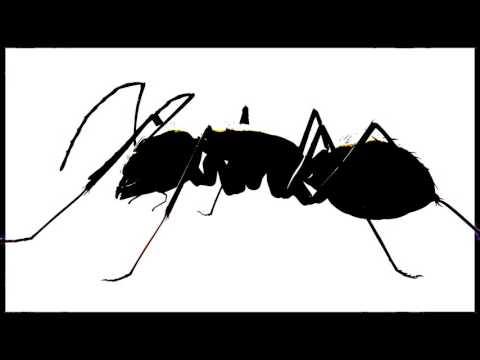 D-Leria - For Himself -