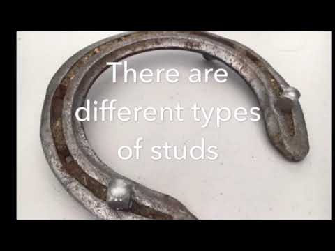 Crafty Ponies learn about horse shoe studs