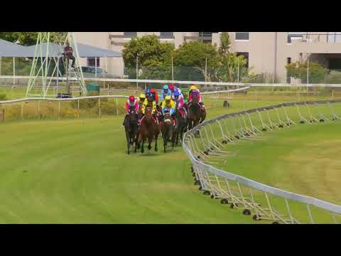 MAKE IT SNAPPY - RACE 8 #hollywoodbetskenilworth 03-12-2022