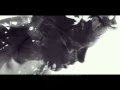 Conchita Wurst - Heroes - with Lyrics 