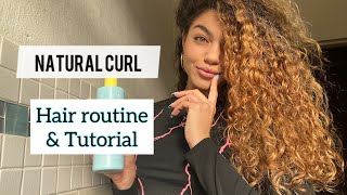 My natural curly hair wash day routine | How to achieve defined and bouncy curls