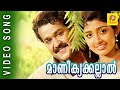 Malayalam Film Song | Manikyakallal | Varnapakittu | M. G. Sreekumar, Swarnalatha