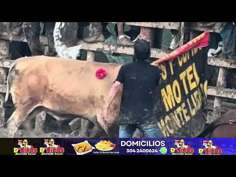 ¡Corralejas en Montelíbano Córdoba, todo un exito para quienes disfrutaron como cada año.