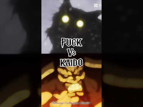 Puck vs Kaido #rezero #onepiece