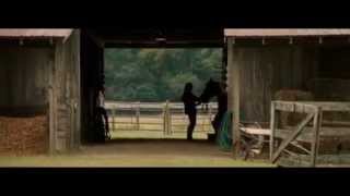 Dear John (Soundtrack) Waves, The Barn