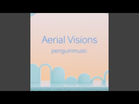 Aerial Visions