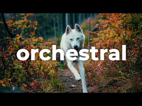 🐺 Inspirational & Orchestral (Music For Videos) - "Mountain Spirit" by Vadim Krakhmal 🇺🇦
