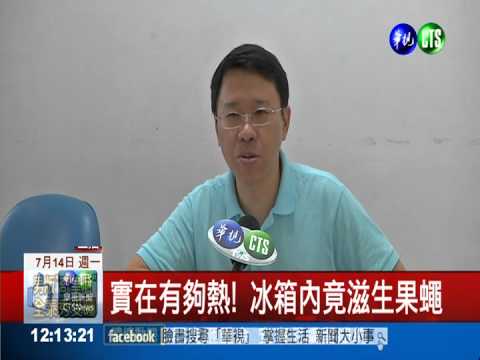 溫度不夠低! 果蠅飛冰箱滋生