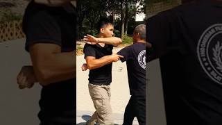 Download lagu Seni bela diri silat Teknik pertarungan jalanan dan pengeboran tangan #silat #mma #seni bela diri#shifu Hiren Nath mp3 Download lagu Seni bela diri silat Teknik pertarungan jalanan dan pengeboran tangan #silat #mma #seni bela diri#shifu Hiren Nath mp3