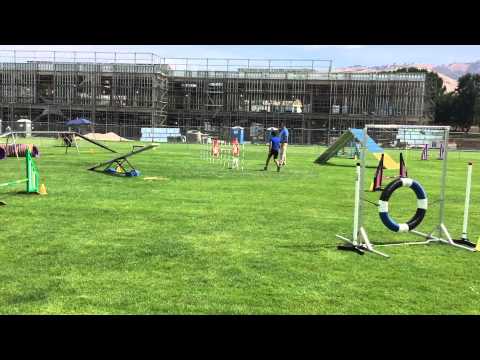 Bev and Pixie - Advanced Standard (14") - 2015-05-30