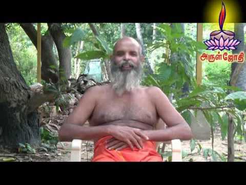 Treatment for Dog bite by Herbal Plants - Iyarkkai Maruthavam - திரு Seenu Swamigal ஐயா