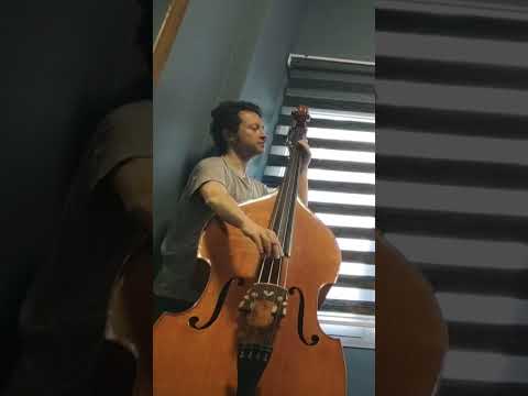 I tried it! Bass, double bass! #guitar #bass #guitarlesson #guitarlessons #jazz #doublebass #fever