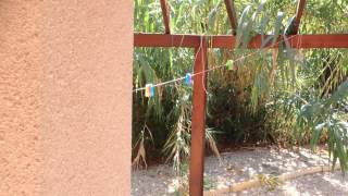 Paradise Villa Paphos Cyprus Rear Private Garden