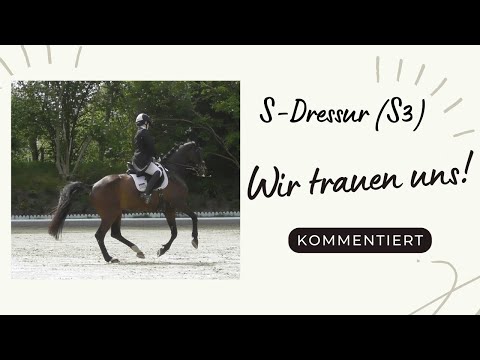 S-Dressur (S3) - Wir trauen uns! 🤪 Ich kommentiere euch unsere S-Prüfung! 🥰😁 // #rinisreiterei