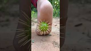 Download lagu 🌵🌵🌵🤣😭😭👟👟😍🥰Introducing the 'VitaWear SmartBand,' a next-generation wearable gadget🙏 mp3