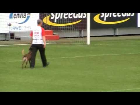 WK FMBB 2010 - Hikmet Sarban - Obedience - Grand Finale