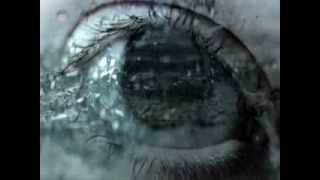 Edward Ka-Spel & The Silverman - The Wedding